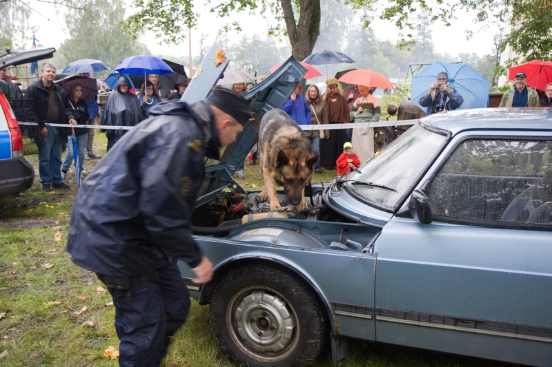 Aktiviteter 2008_21.jpg